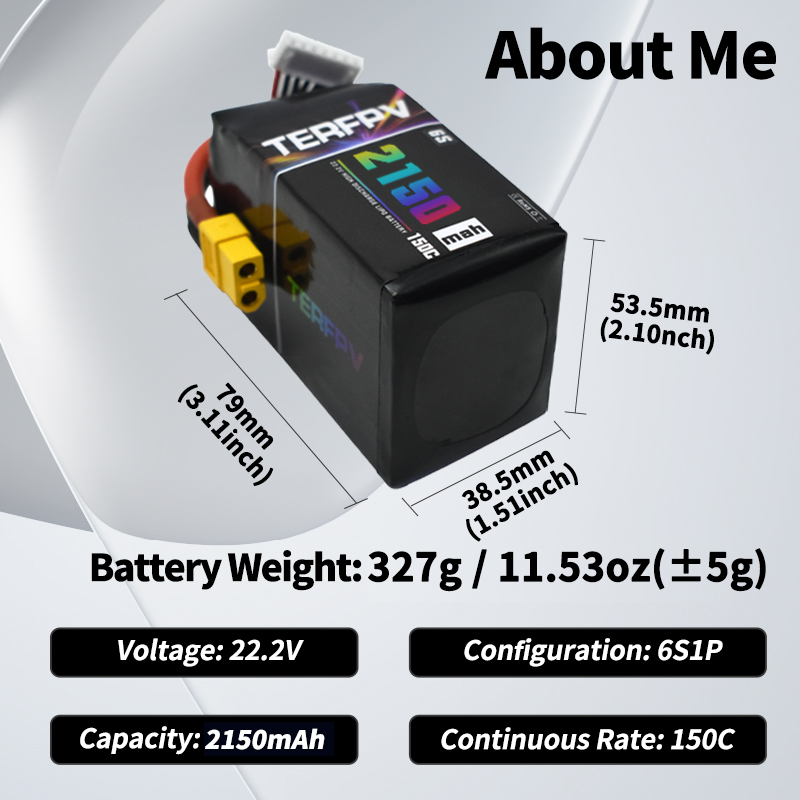 TERFPV Lipo Battery 6S 22.2V 1 - Drone Battery Lipo のレビューと価格