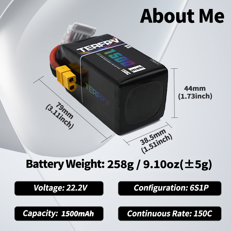 TERFPV Lipo Battery 6S 22.2V 1 - Drone Battery Lipo のレビューと価格